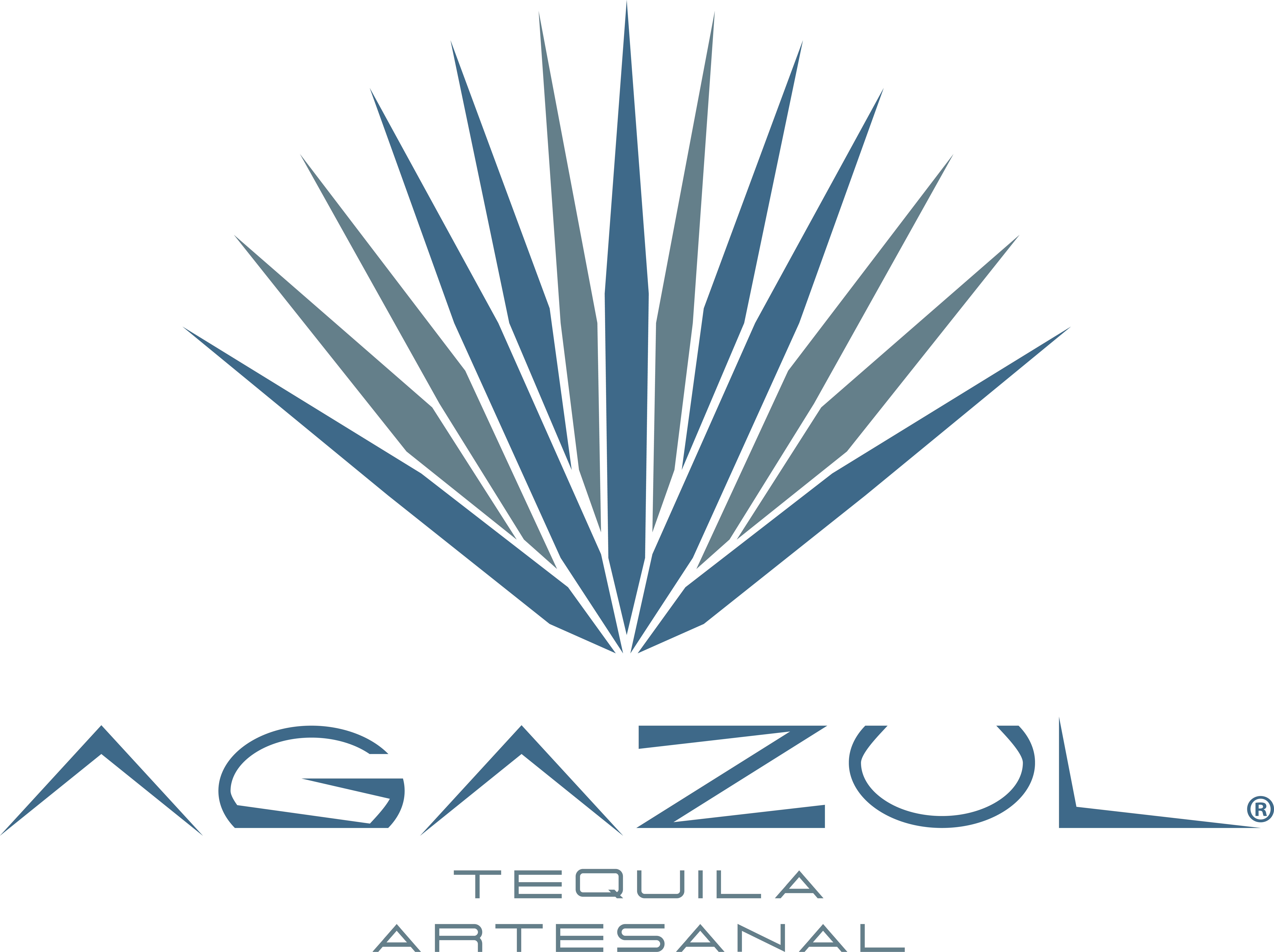 Official Partner